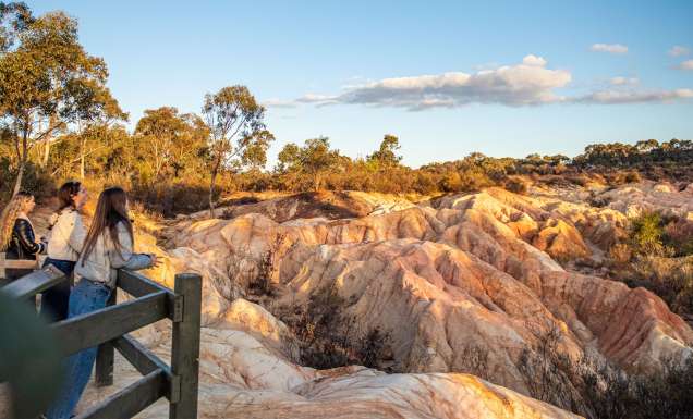 Three women look at the Pink Cliffs Geological Reserve