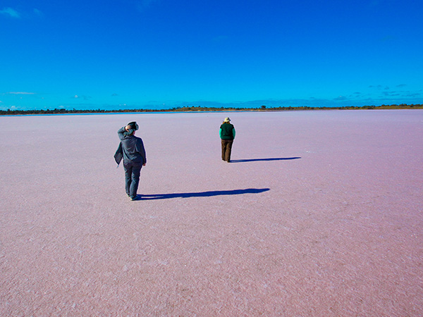Pink Lakes along the Kline Nature