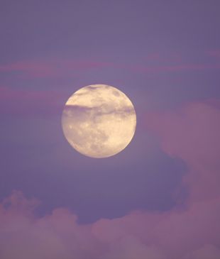 <p><strong>Sydney</strong> Observatory to <i>light up</i> for <i>first-ever</i> Moon Festival</p>
