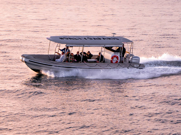 an 11-metre inflatable vessel ride with K’gari Salty Safaris