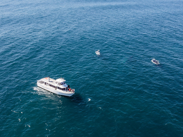 an aerial view of Sunreef’s Whale One vessel, Mooloolaba