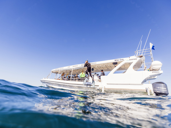 A man standing on the bow of a boat in the ocean.