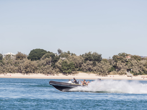 a whale-watching tour with Adventure Rafting, Mooloolaba