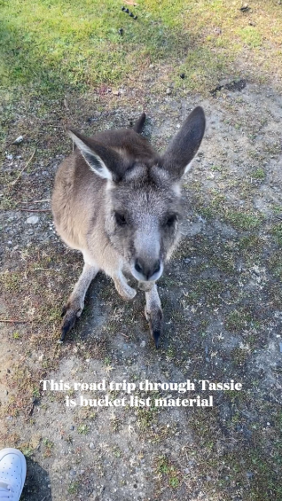 An epic road trip from Launceston to Hobart by coach