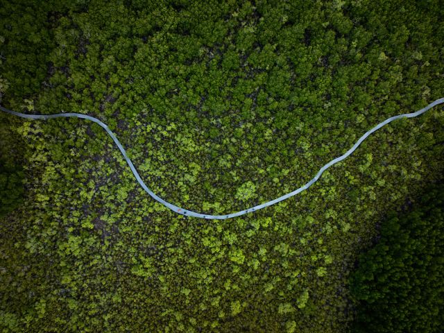Aerial view of hikers on The Ngaro Track, Whitsunday Islands