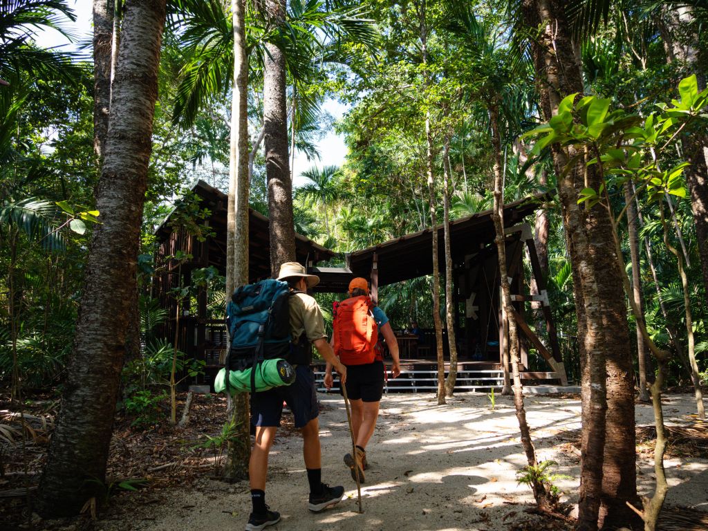 Tree camping area, The Ngaro Track, Whitsunday Islands