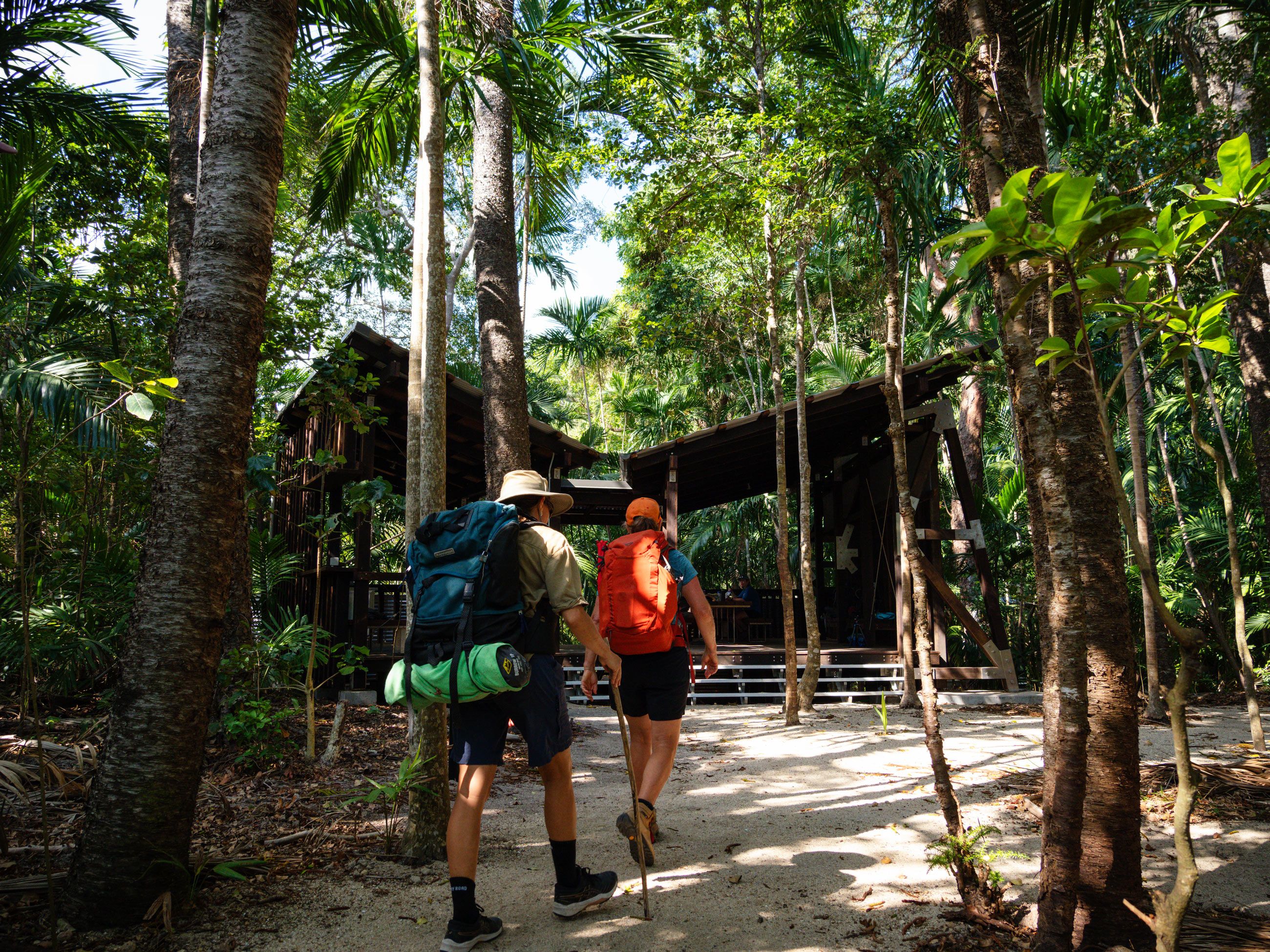 Tree camping area, The Ngaro Track, Whitsunday Islands