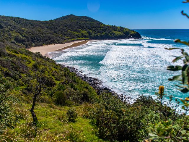 Green hills covered with juicy grass by the ocean, beautiful beach surrounded by cliffs in Australia, Connors Beach in Hat Head National Park, NSW