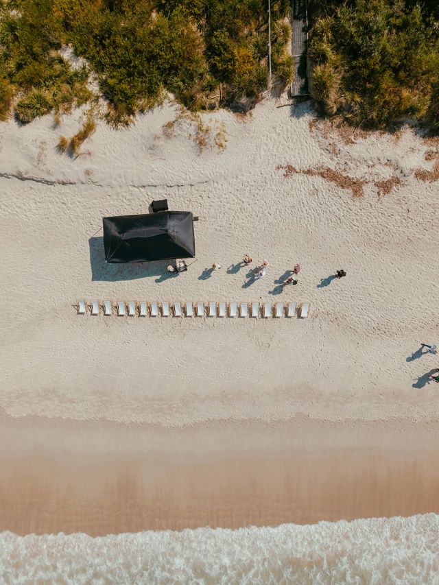 Coastal Forage, NSW