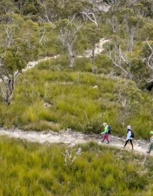 Three hikers walking along a trail in bushland