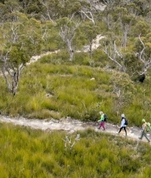 <p>Two <em>new scenic bushwalks</em> have opened in a breathtaking <strong>NSW</strong> <em>conservation area</em></p>
