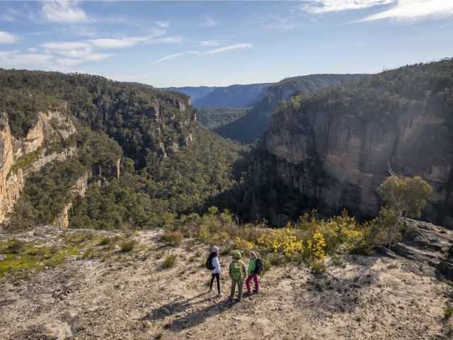 Hikers looking out at the Carne View Lookout