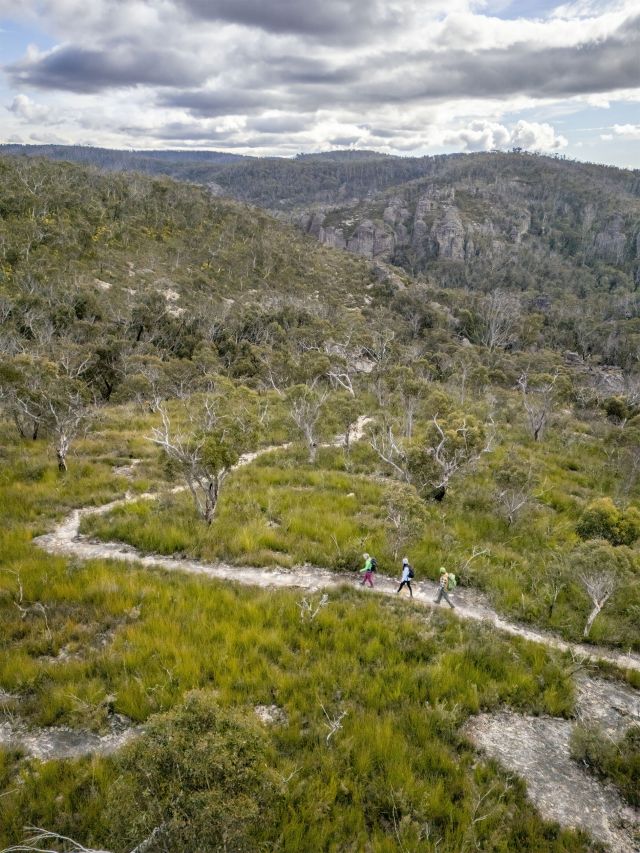 Hikes on a bushwalk with mountains in the background