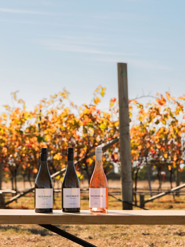 Great Eastern Wine Week, Tasmania