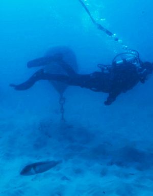 Australia’s first and only underwater winery is hiding in WA