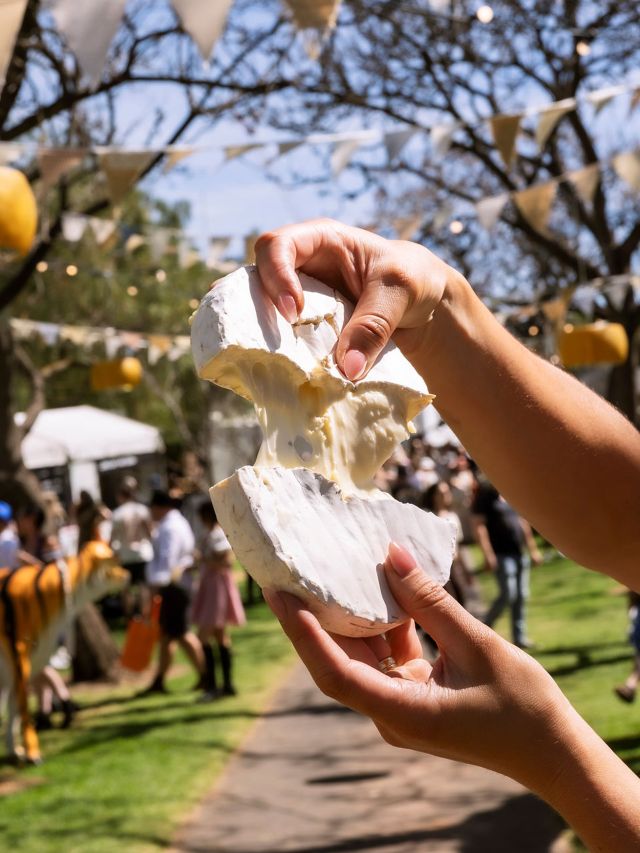 Cheesefest, Adelaide