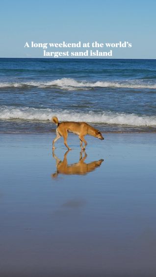 Exploring K’gari: Australia’s island paradise