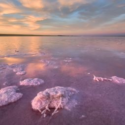 pink Lake Tyrrel, Wimmera Mallee, Victoria Australia