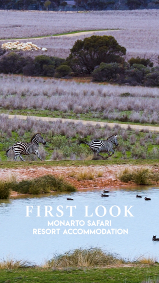 First look: Monarto Safari Resort accommodation