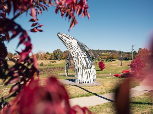 walcha's open air gallery whale statue