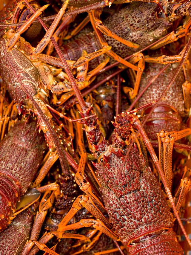 Seafood in San Remo, Victoria
