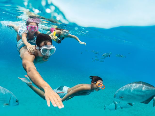 people snorkelling on a day trip with royal caribbean cruises