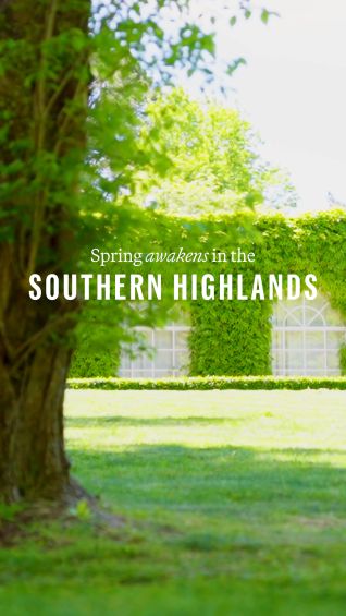 Spring awakens in the Southern Highlands