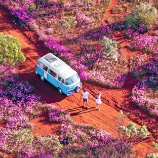 Driving Holidays