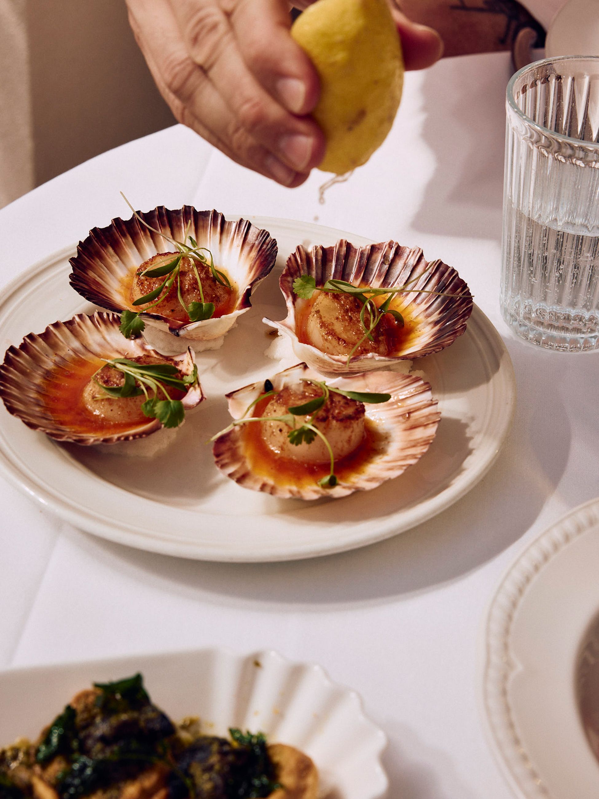 Coquilles Saint-Jacques half-shell scallops at Entrecôte