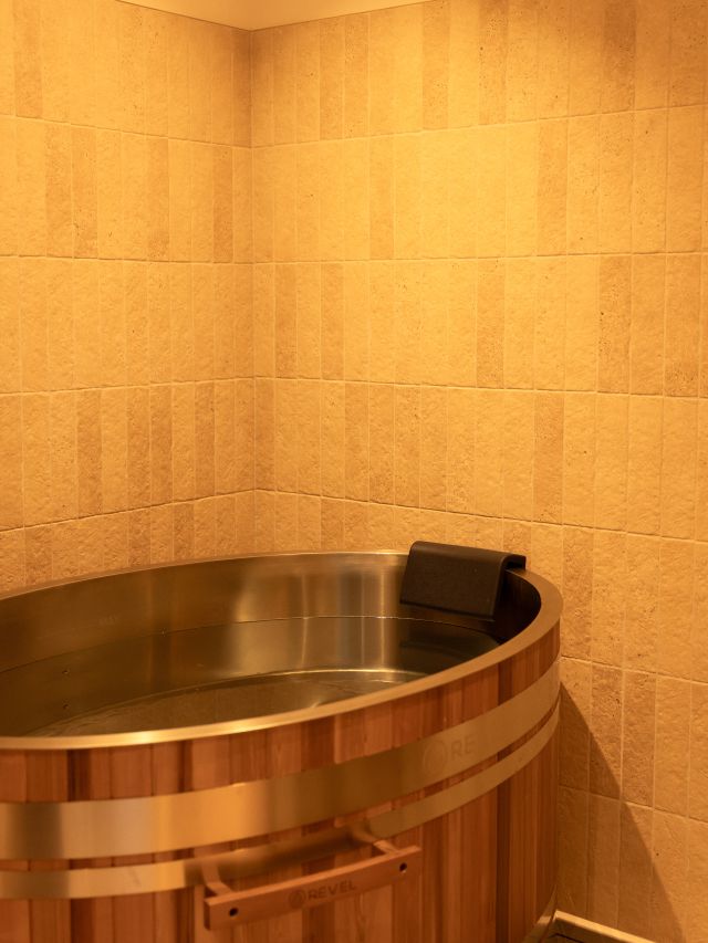 Reverie ice bath