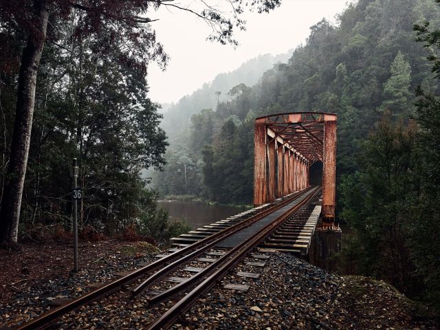 A historic bridge in the rainforest surrounding by fog