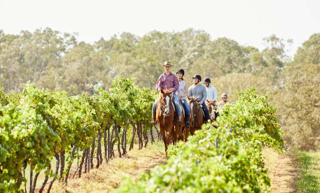 a guided horseback tour at Hanging Tree Wines, Pokolbin with Murchessons Horse Wine & Dine Tours