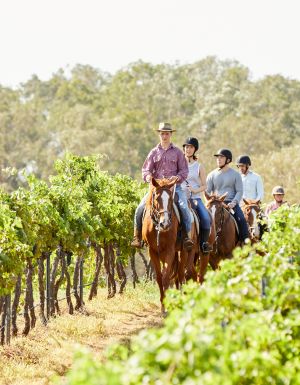 a guided horseback tour at Hanging Tree Wines, Pokolbin with Murchessons Horse Wine & Dine Tours