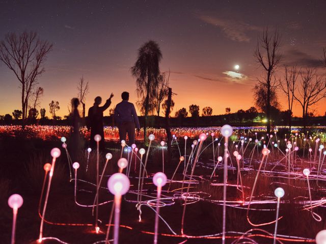 the immersive light show, Sunrise Journeys