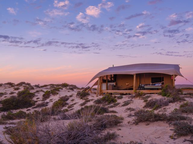 Sal Salis at Ningaloo Reef, Western Australia