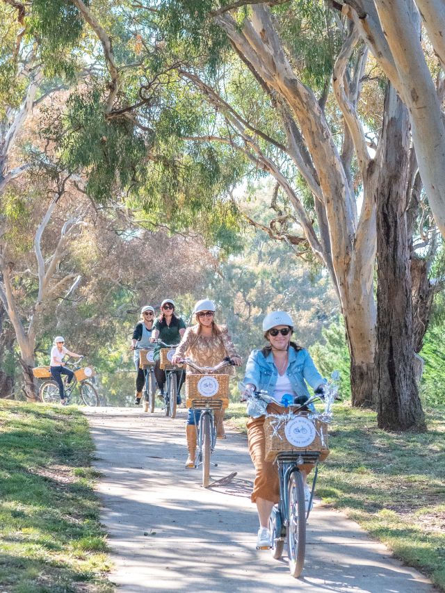 people riding bicycles while exploring Canberra's best vineyards