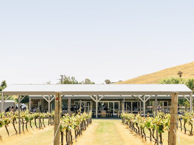 the Four Winds Vineyard, Canberra