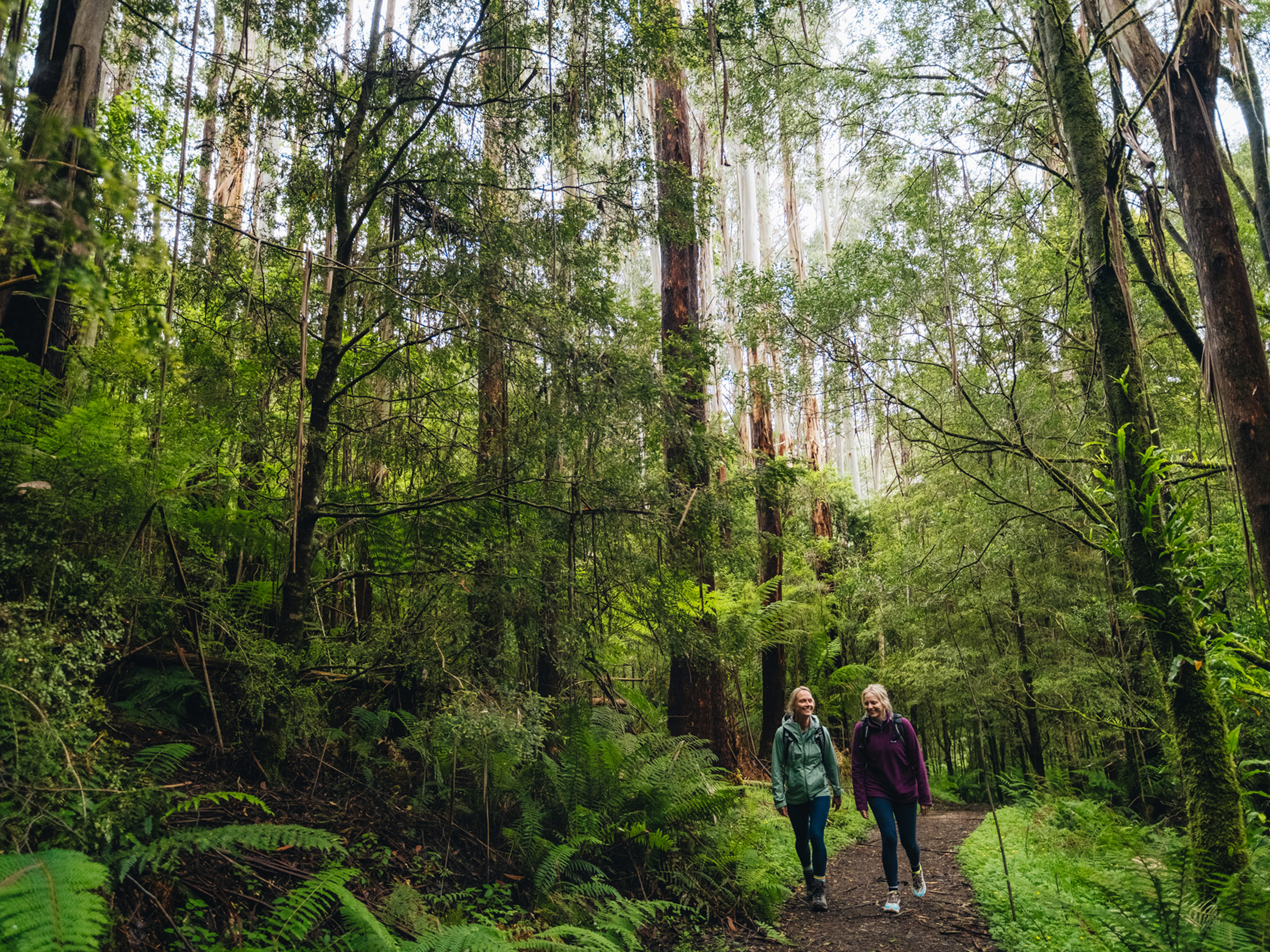 Five Minutes with Steve Parish - Australian Traveller