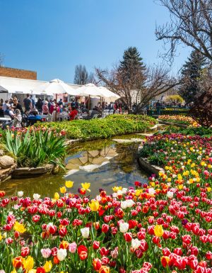 bowral tulip festival