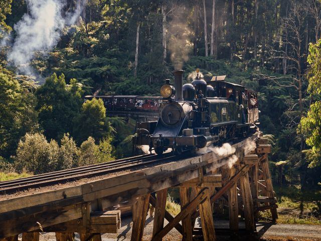 the Puffing Billy Railway
