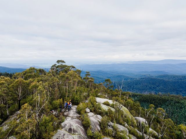 walking trails in the Yarra Valley