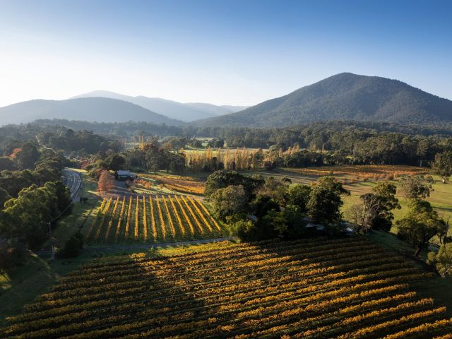 the Boat O’Craigo winery