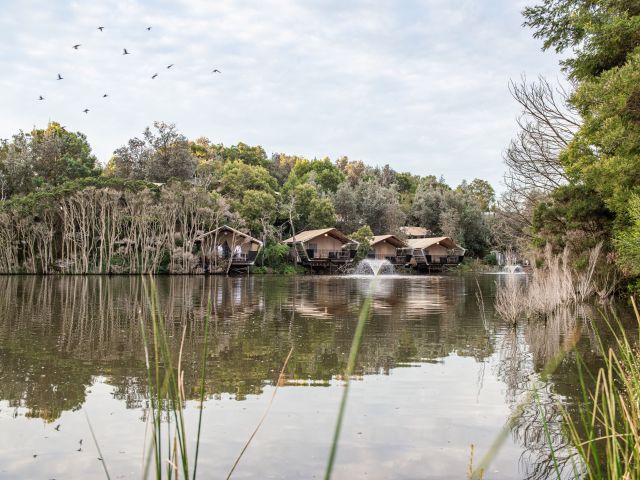the Metung Hot Springs' glamping tents by the river