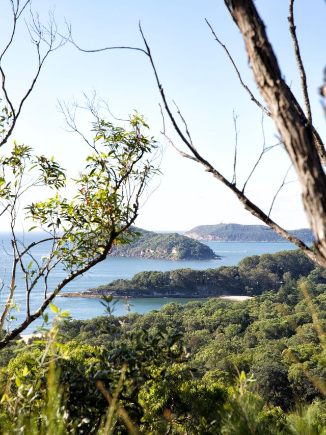 scenic views of Pearl Beach, Central Coast