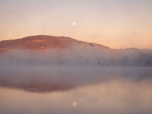sunrise views at Tenterfield Creek