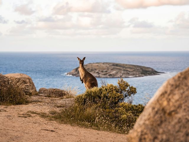 Adelaide's Fleurieu Peninsula
