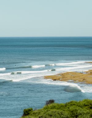 surfers out at Bells Beach