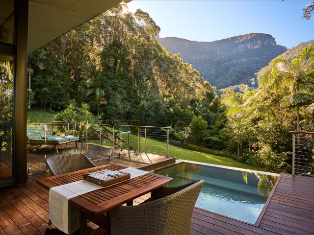 Rainforest views from a suite at Crystal Creek Rainforest Retreat Bar Lounge and Wine Cellar