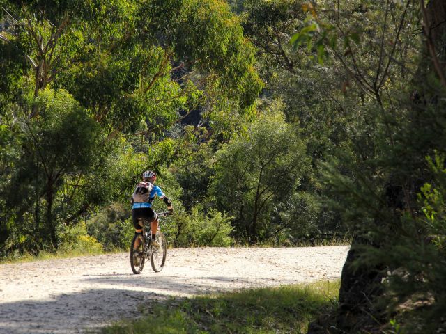 Mountain biker, Devines Hill, Dharug National Park