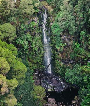 <p><i>Taking the route less travelled</i> along the <strong>Great Ocean Road</strong></p>
